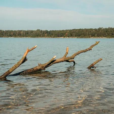 Forum Grillensee 酒店 3*