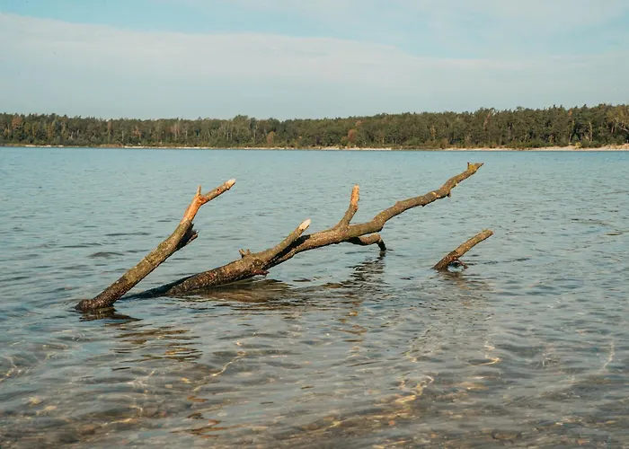 Forum Grillensee فندق 3*